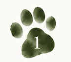 Step 1