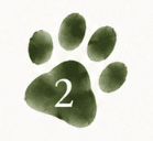Step 2