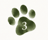 Step 3