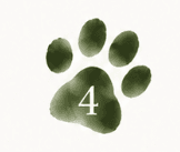 Step 4