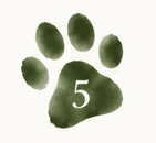 Step 5